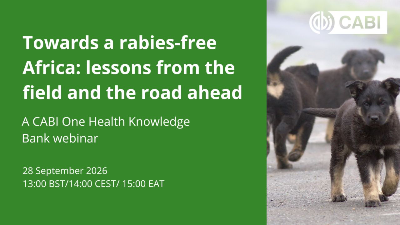 WEBINAR: Ifakara to share Tanzania’s rabies control lessons in CABI masterclass
