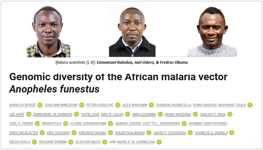 MOSQUITO RESEARCH: Scientists analyze the DNA of a major but understudied mosquito species