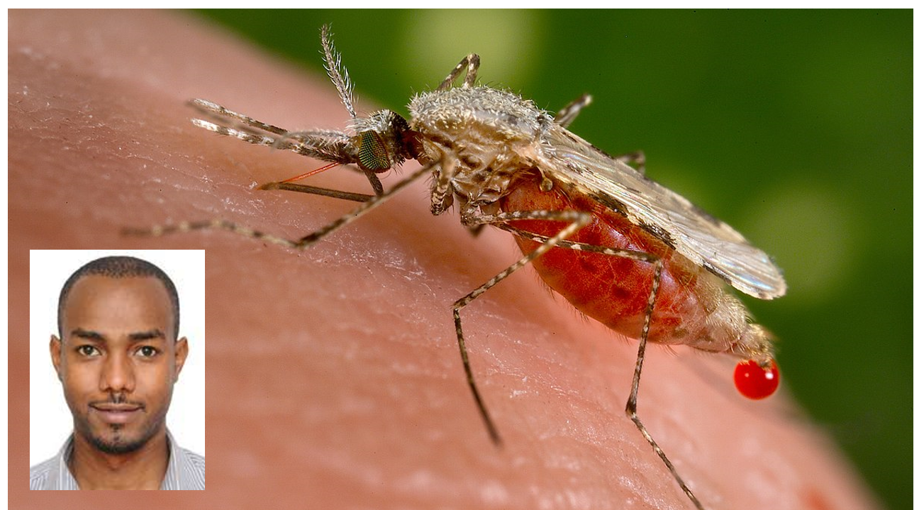 GROUNDBREAKING: Ifakara, partners launch major initiative to combat malaria