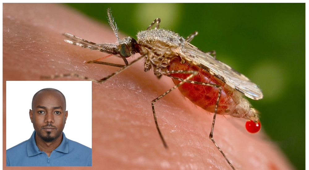 GROUNDBREAKING: Ifakara, partners launch major initiative to combat malaria