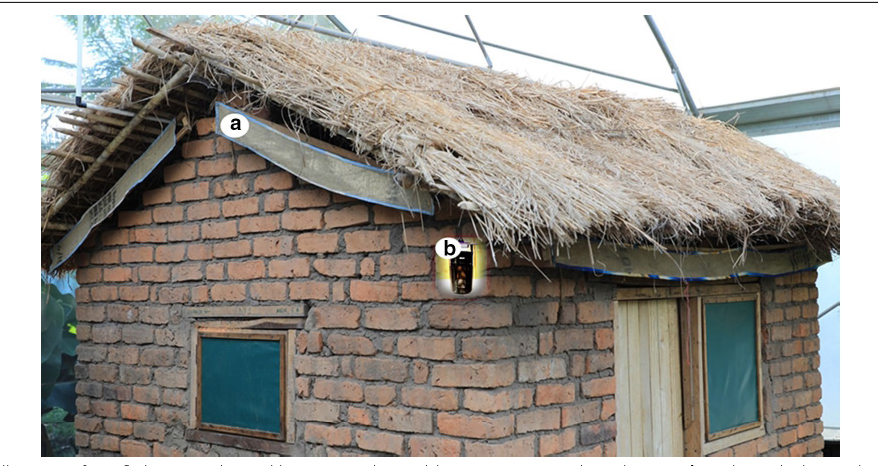 Assessment of mosquito biting reduction and mortality rates caused by eave-ribbons treated with different formulations of transfluthrin inside the semi-field system.