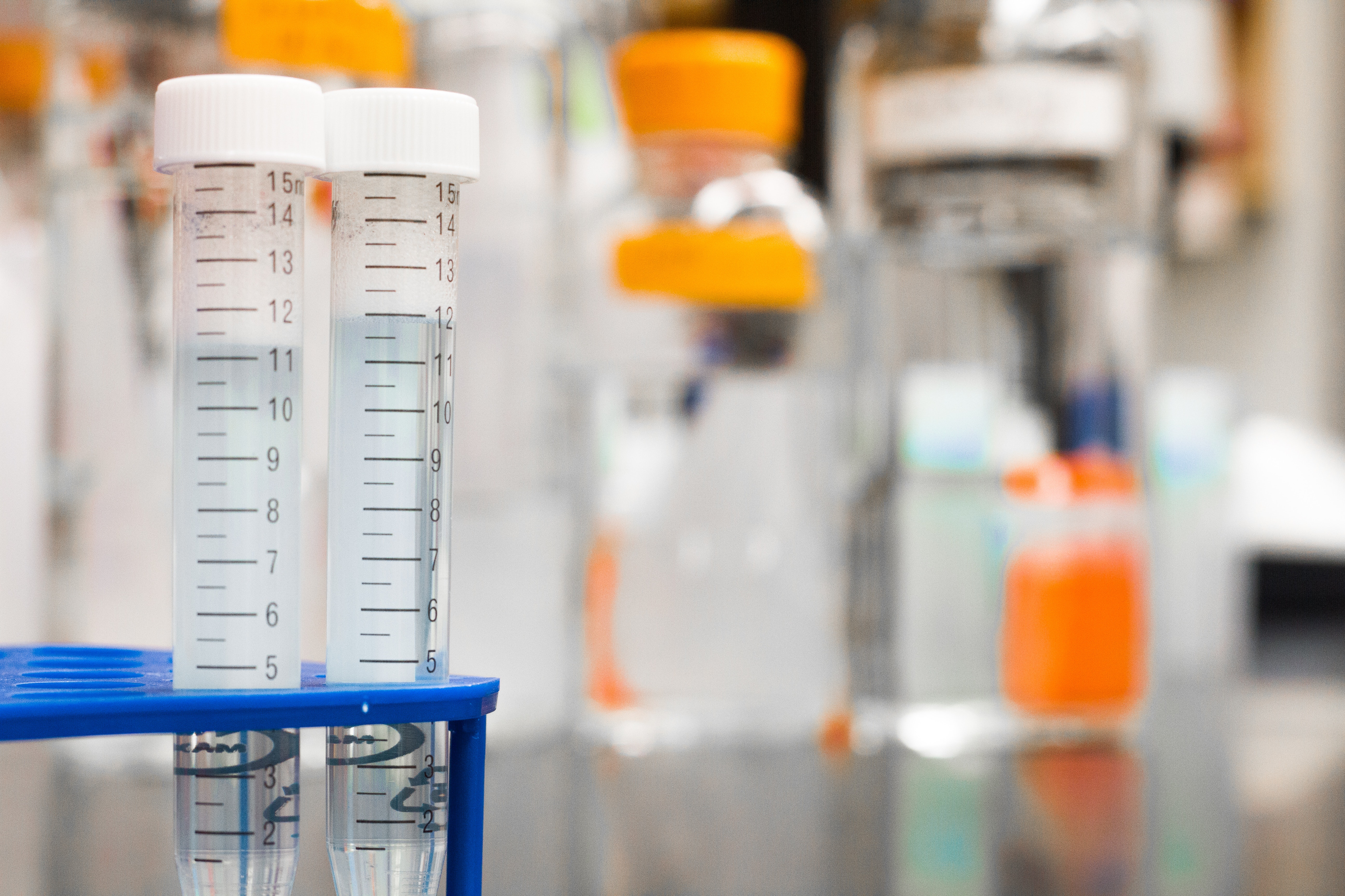 MTBVAC TB Vaccine Study