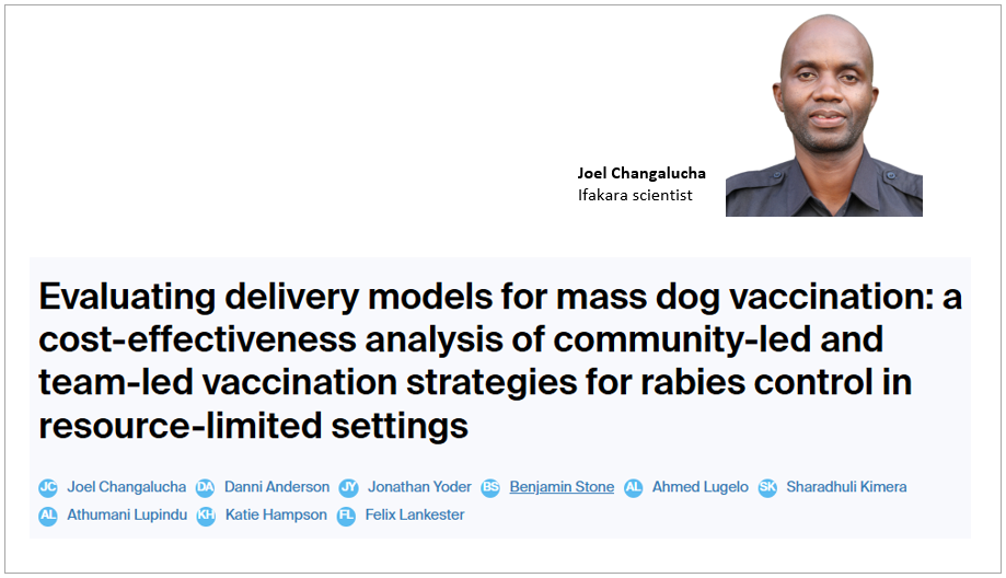 RABIES: Study underlines community mass dog vaccination potential to boost elimination efforts