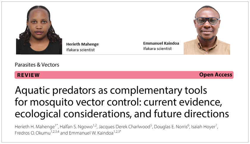 REVIEW: Evidence points to promise in aquatic predators for reducing mosquitoes