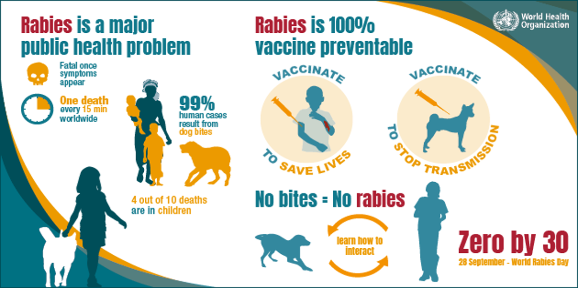 Improving Dog Vaccinations in Africa