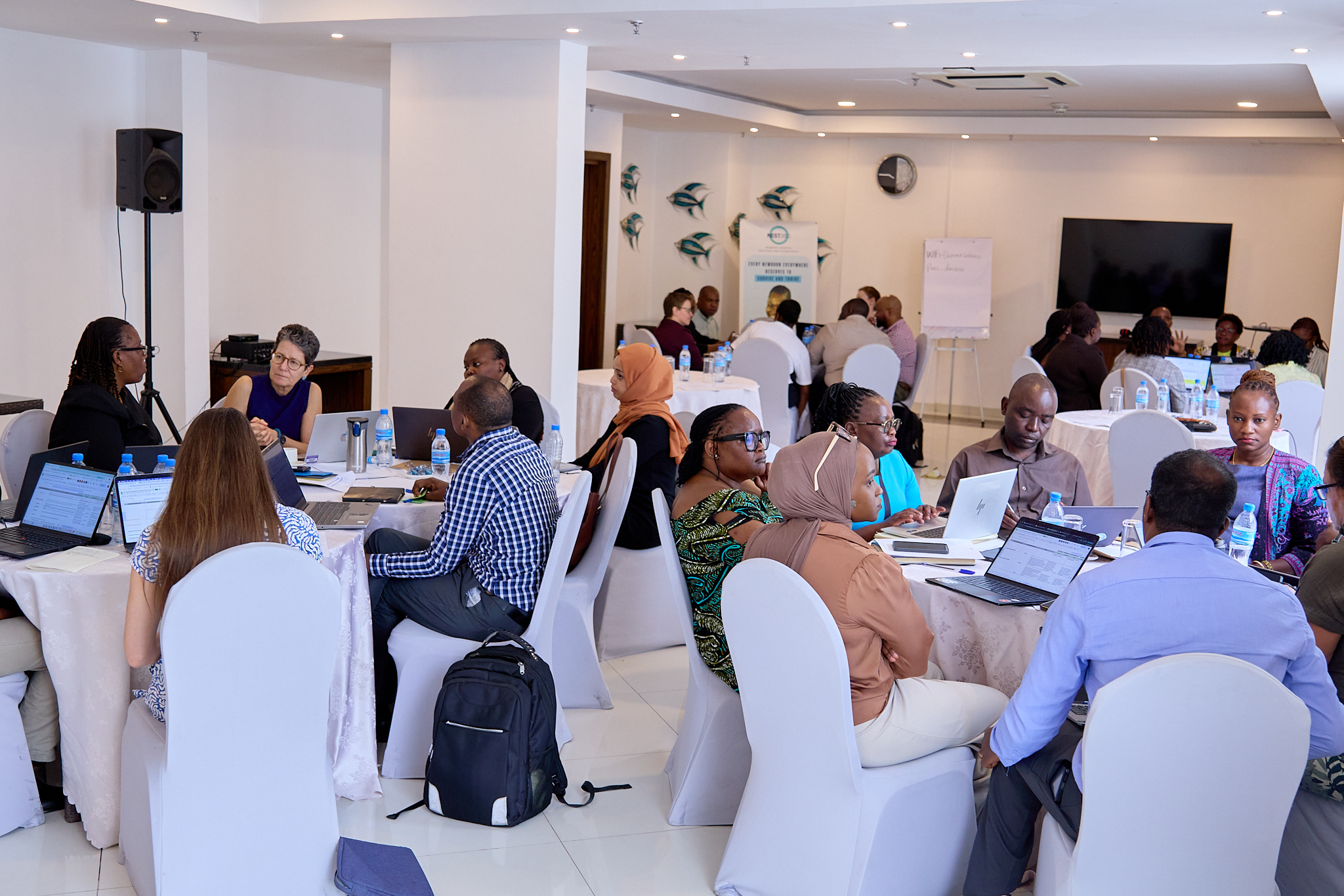WORKSHOP:  NEST360 Tanzania aligns goals for 2026