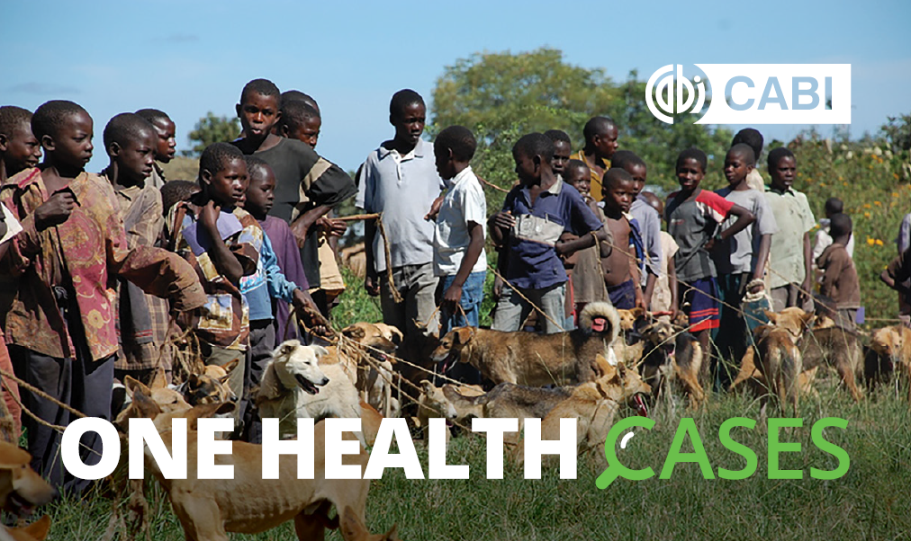 CASE STUDY: Experts highlight simple and effective ways for rabies control in Tanzania