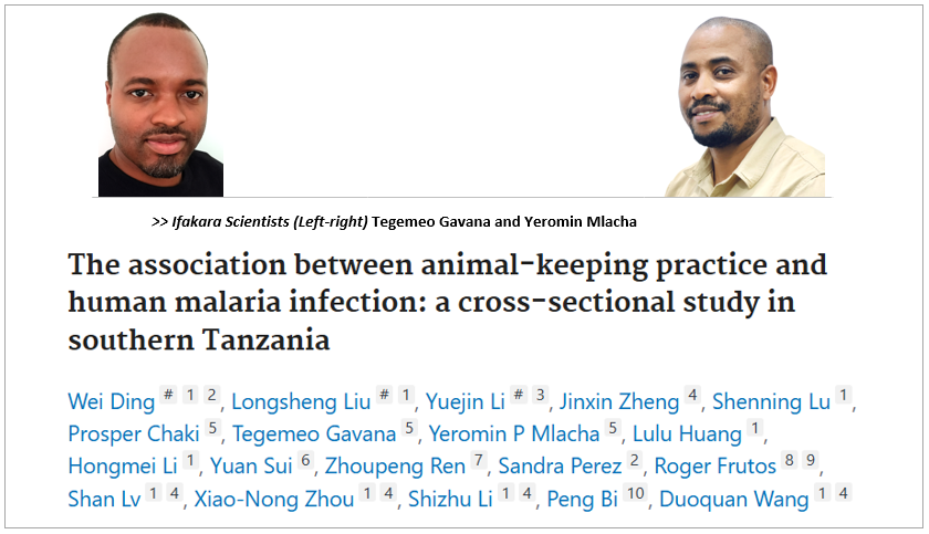 MALARIA & LIVESTOCK: Poultry keeping linked to higher malaria risk in southern Tanzania