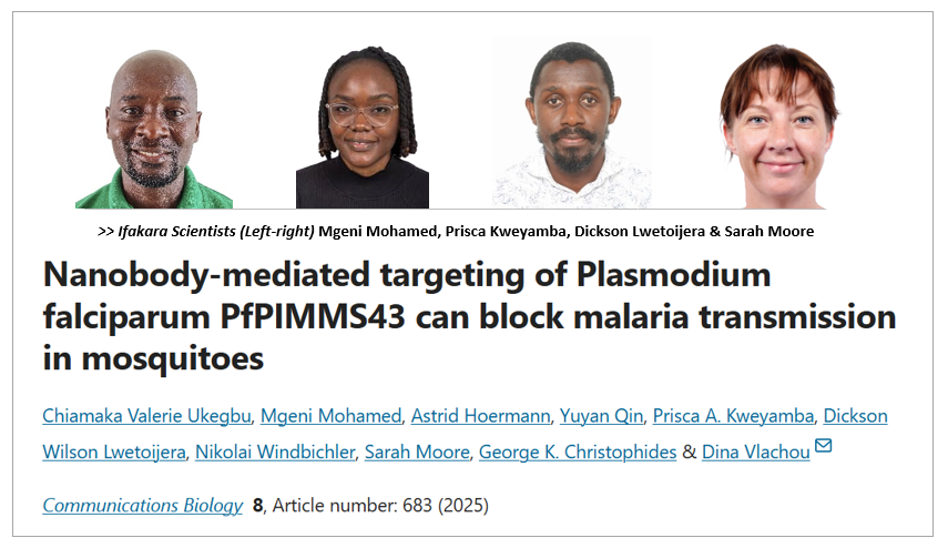 BREAKTHROUGH: Scientists find way to stop malaria inside a mosquito