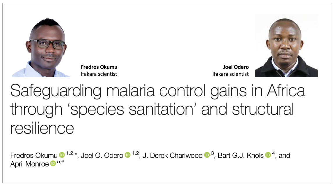 MALARIA: Why Africa needs long-term, locally-driven strategies to win the fight