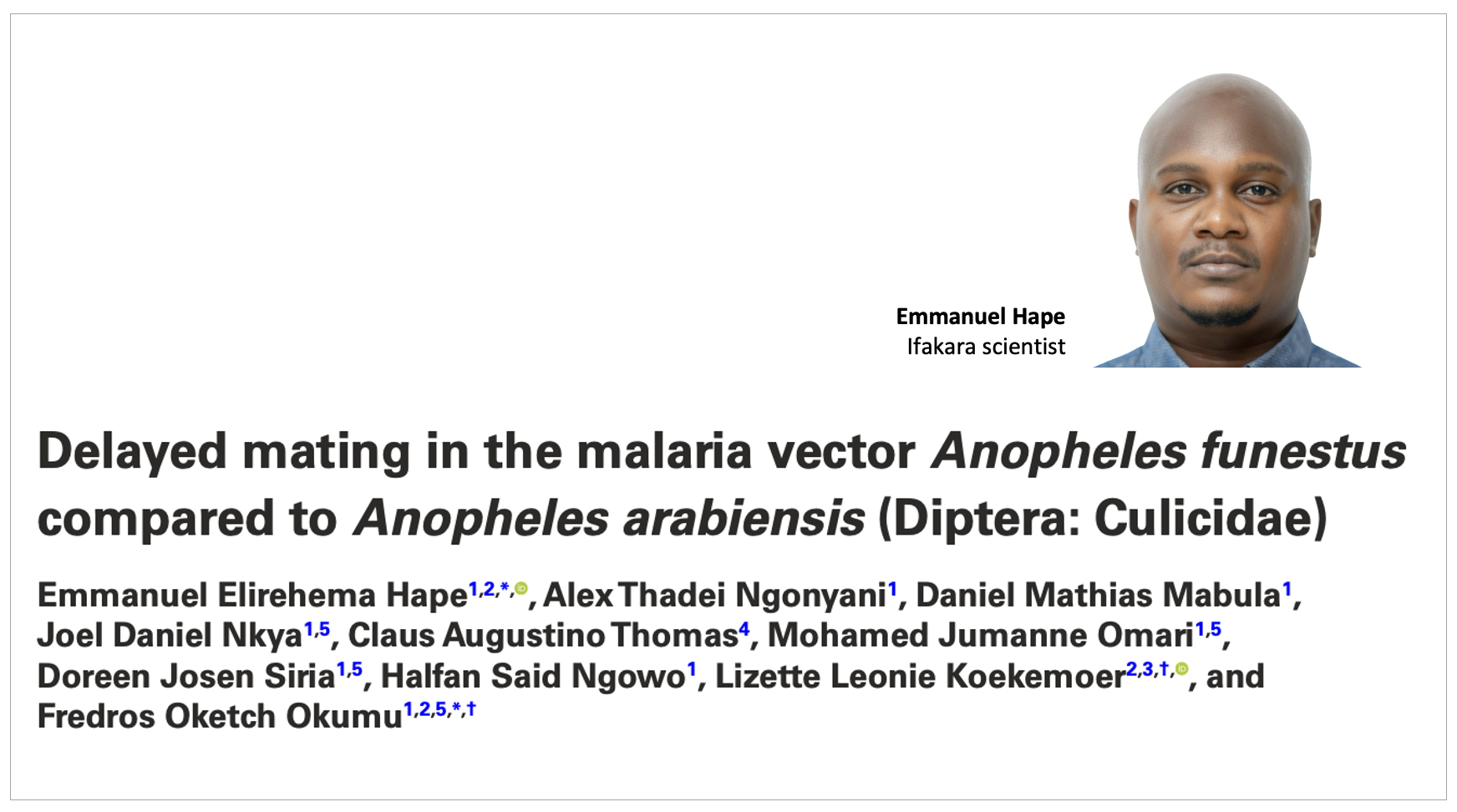 MOSQUITOES: Scientists crack the code on their elusive mating habits