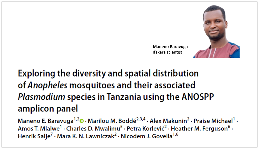 MOSQUITOES:  Study uncovers hidden diversity in species to guide targeted malaria control in Tanzania