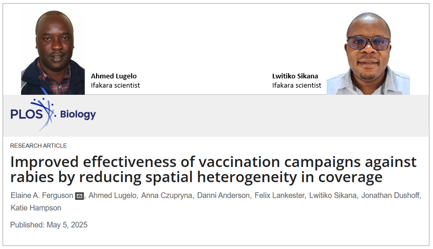 RABIES: Uneven dog vaccination slows down control efforts, new study shows