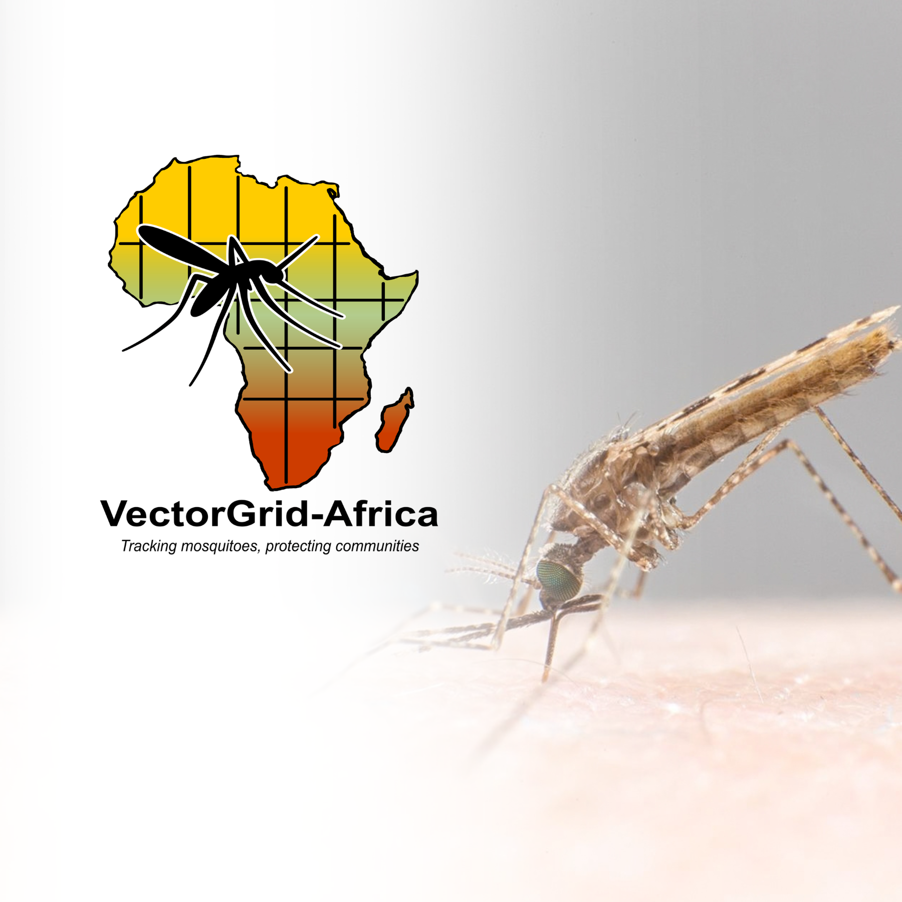 NEW GRANT: VectorGrid-Africa receives US$1.5 million for mosquito-borne disease surveillance