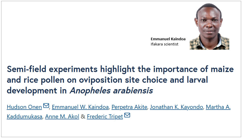 MALARIA CONTROL: Crop pollen linked to increased mosquito reproduction