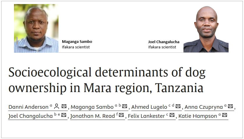 RABIES: High dog ownership heightens disease risk in northern Tanzania