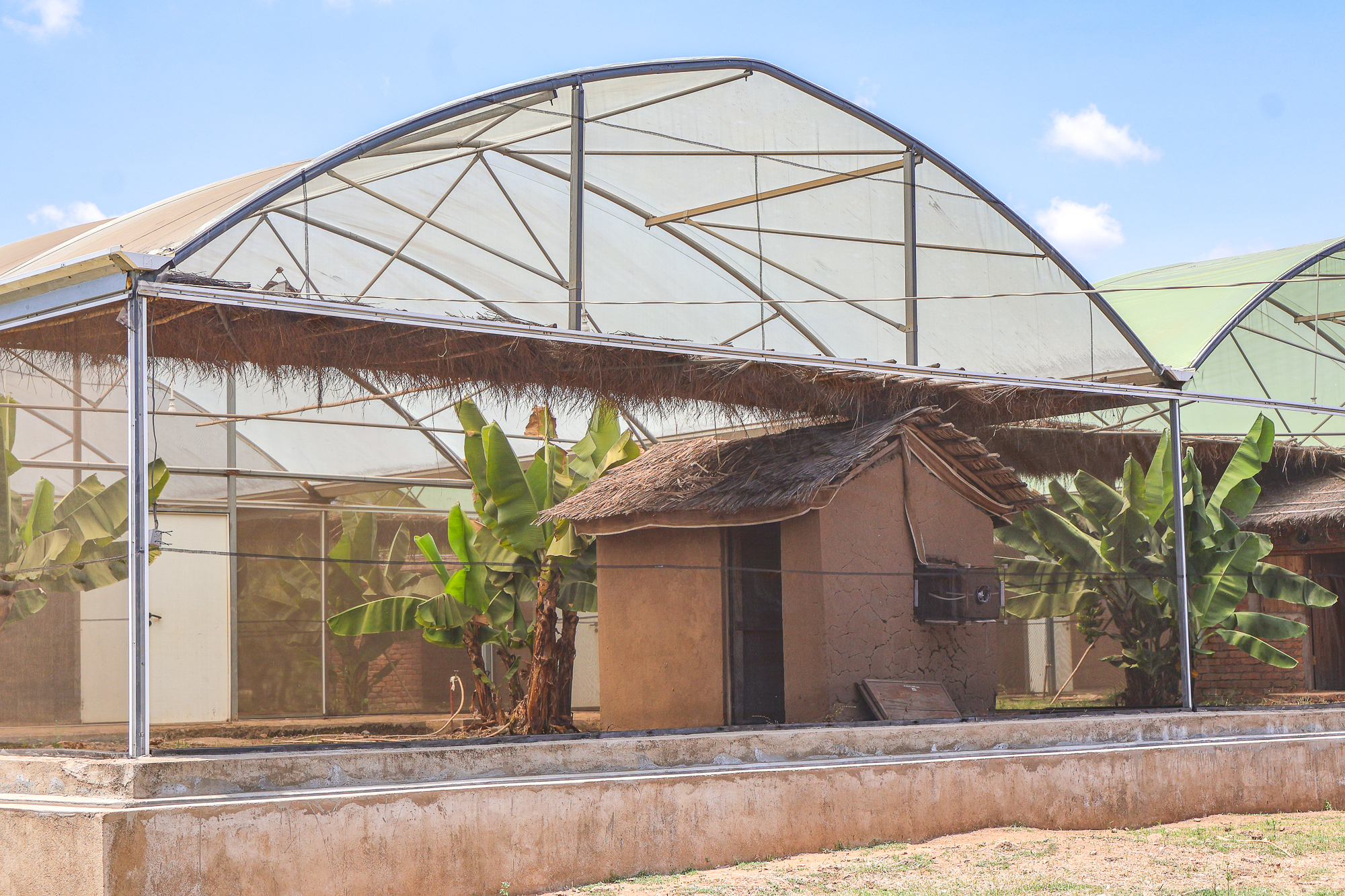 IFAKARA@70: Seven decades of innovation in the fight against malaria