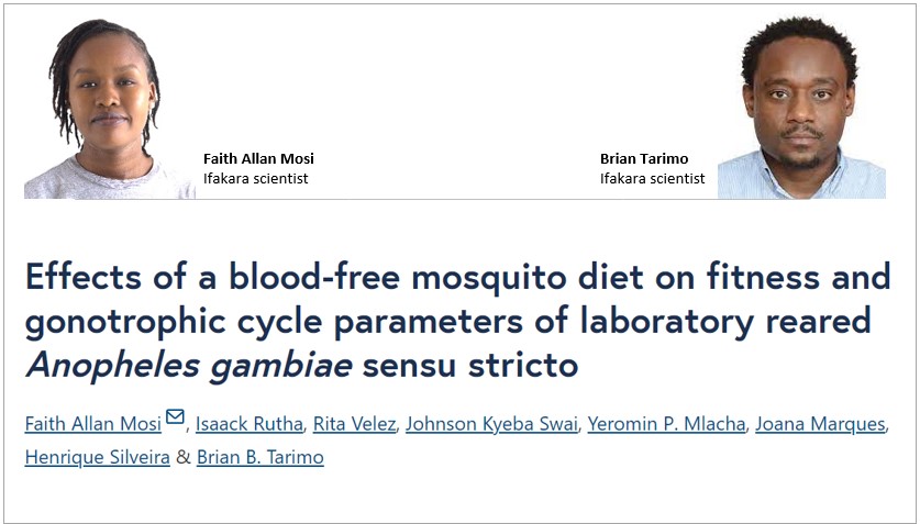 RESEARCH: Scientists find alternative for feeding mosquitoes in labs