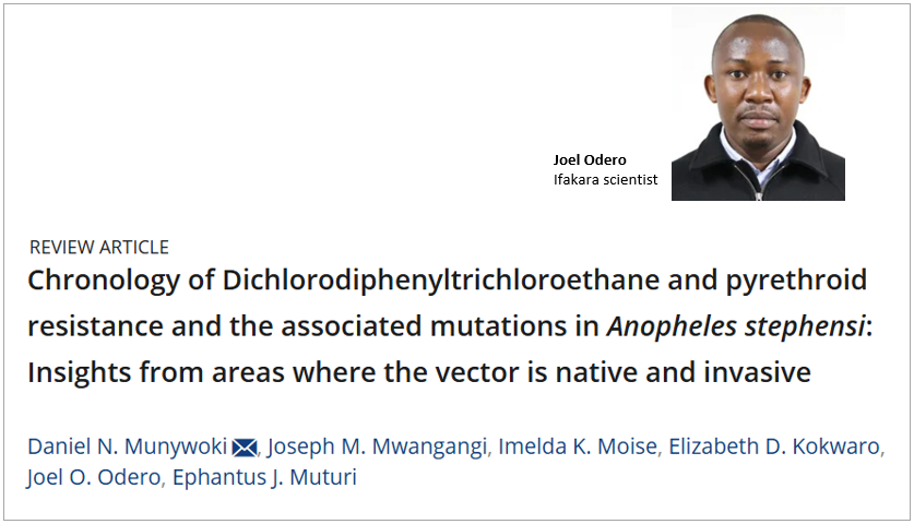 REVIEW: A novel malaria mosquito is evolving to survive insecticides